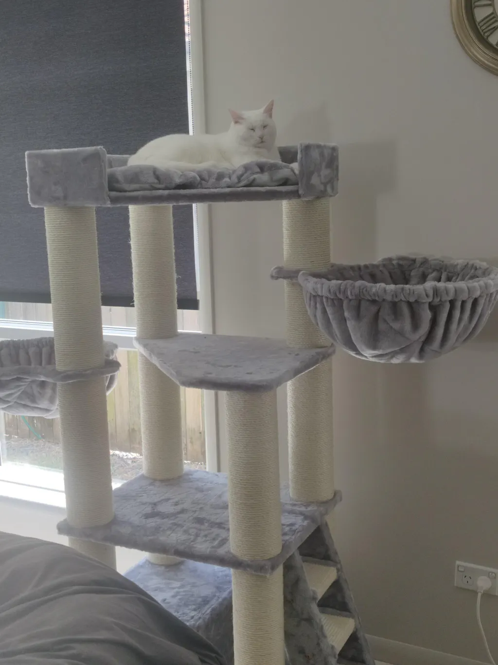 cat-trees-cat-towers-tree-houses-cat-tree-king-australia