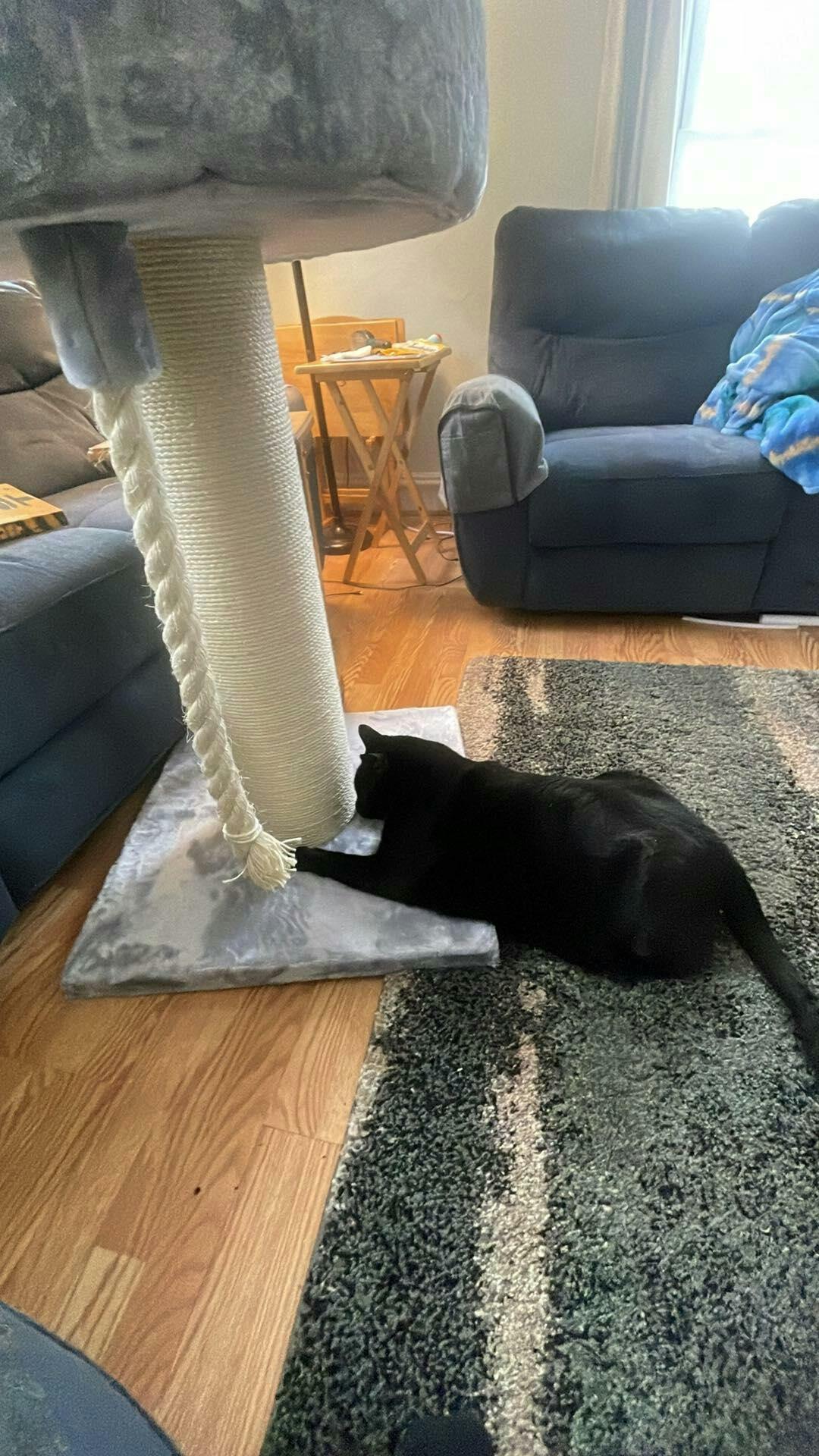 Cat Tree for large cats Queensplace XXL (Light Grey) CatTreeKing USA