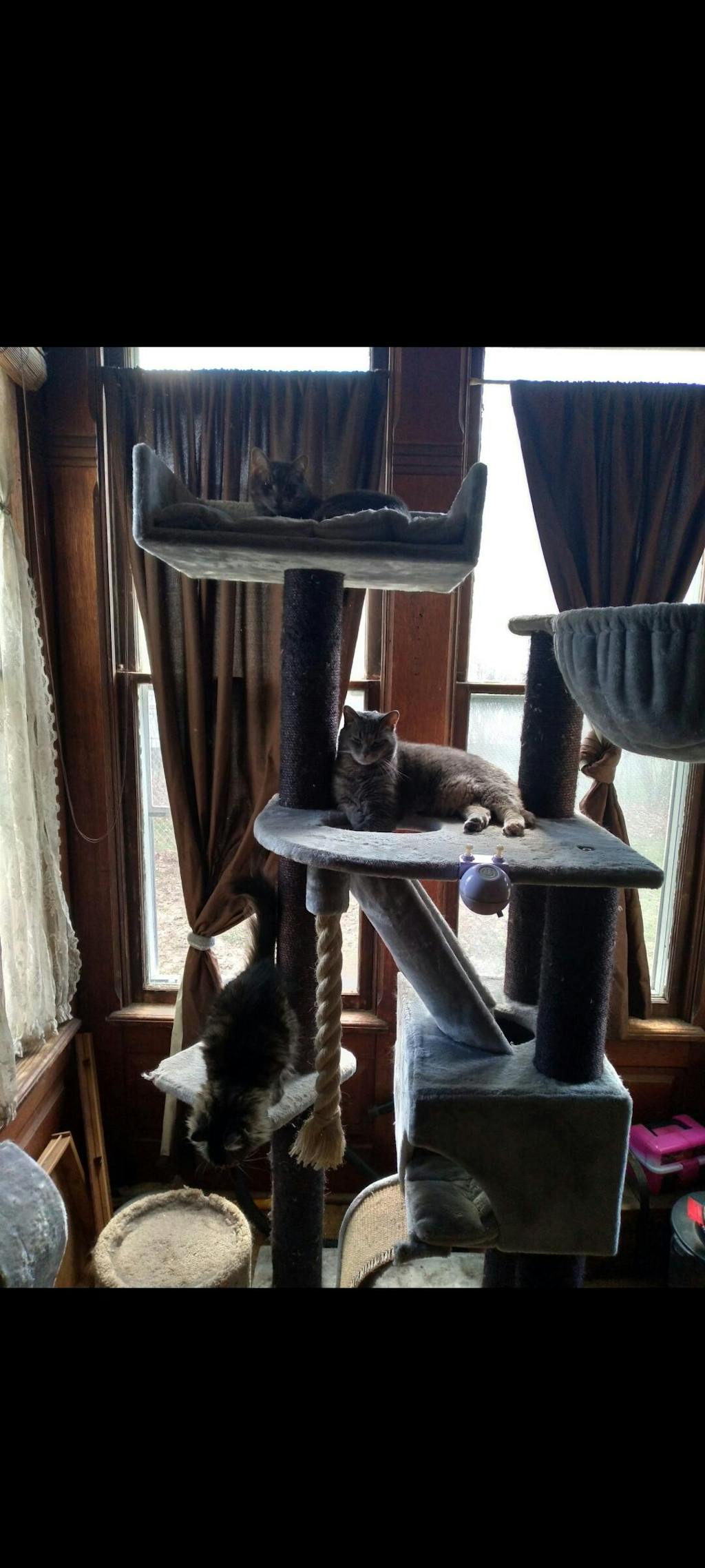 Cat Tree for large cats Cat Mansion (Blackline Light Grey) CatTreeKing USA