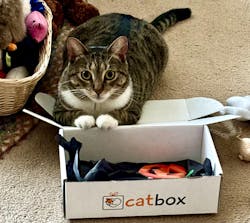 catbox