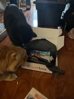 catbox