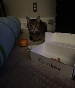 catbox