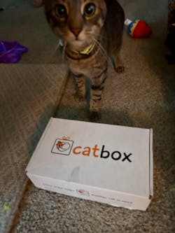 catbox
