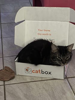 catbox