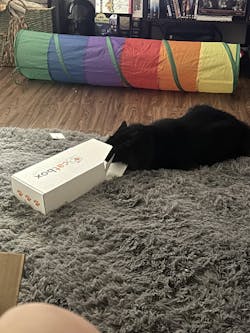 catbox