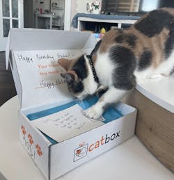 catbox