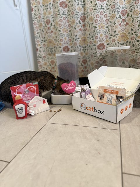 catbox