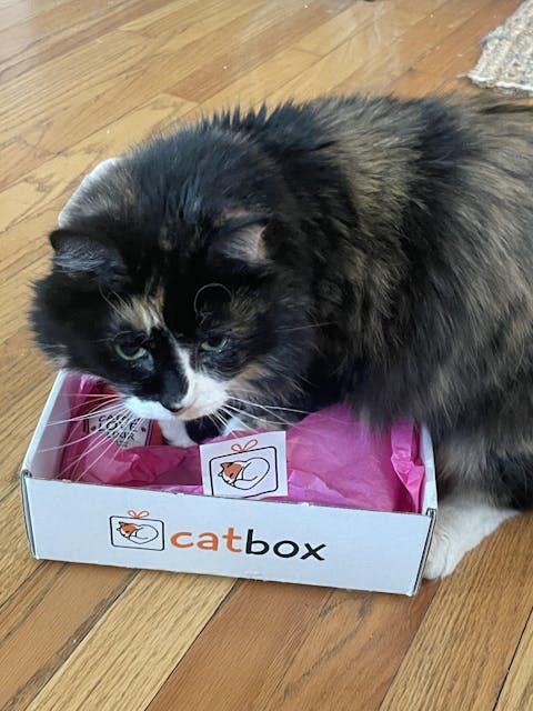 catbox