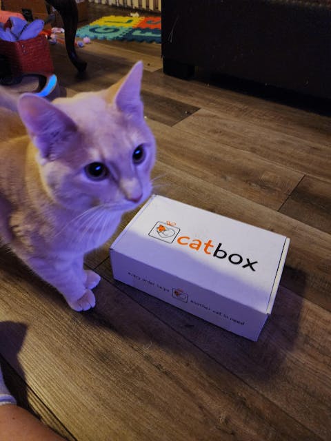 catbox