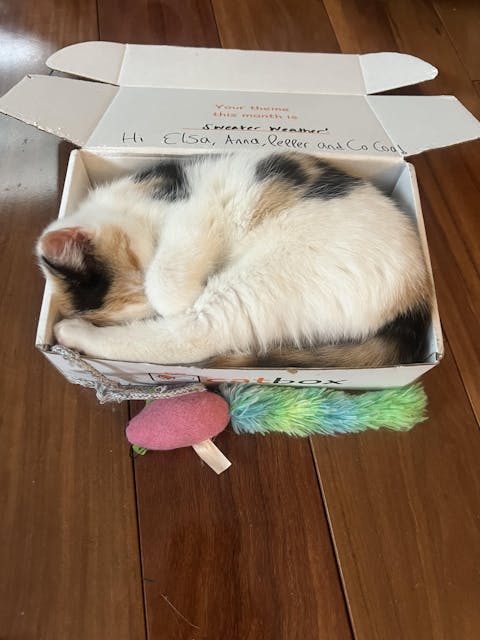 catbox