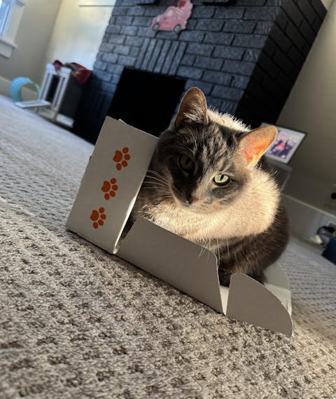 catbox