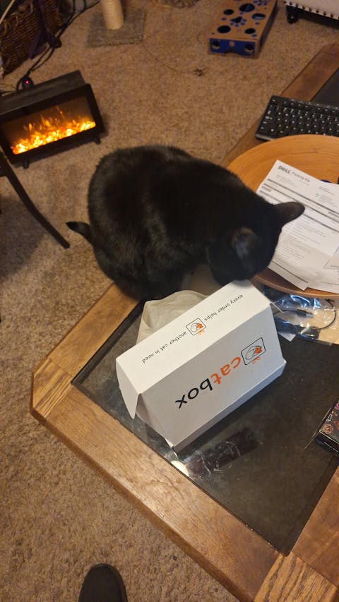 catbox