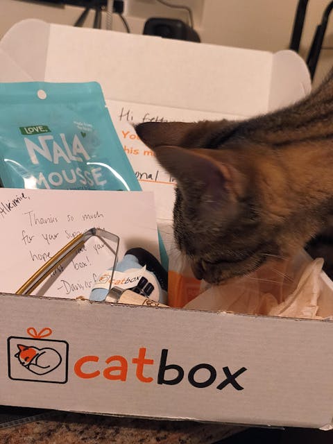 catbox