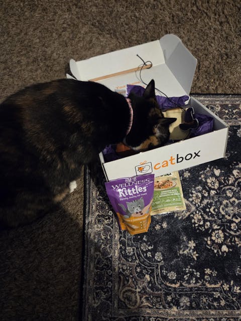 catbox