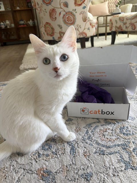 catbox