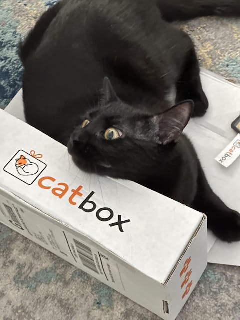 catbox