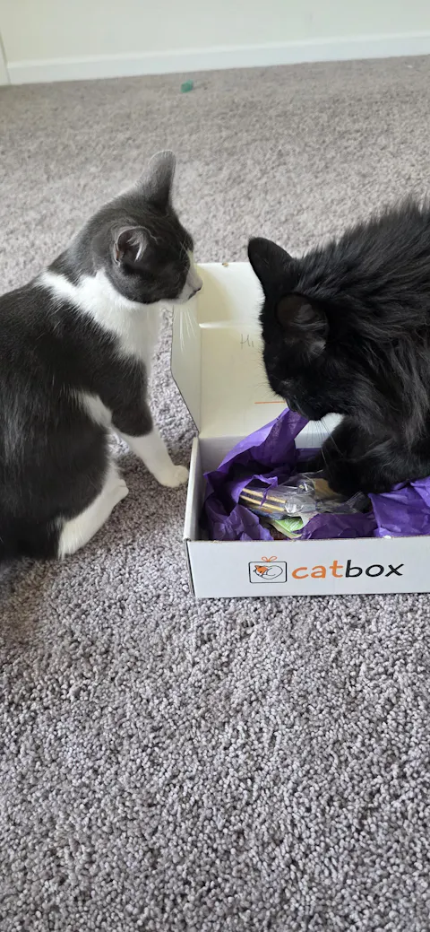 catbox