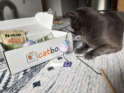 catbox