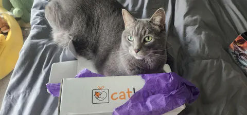 catbox