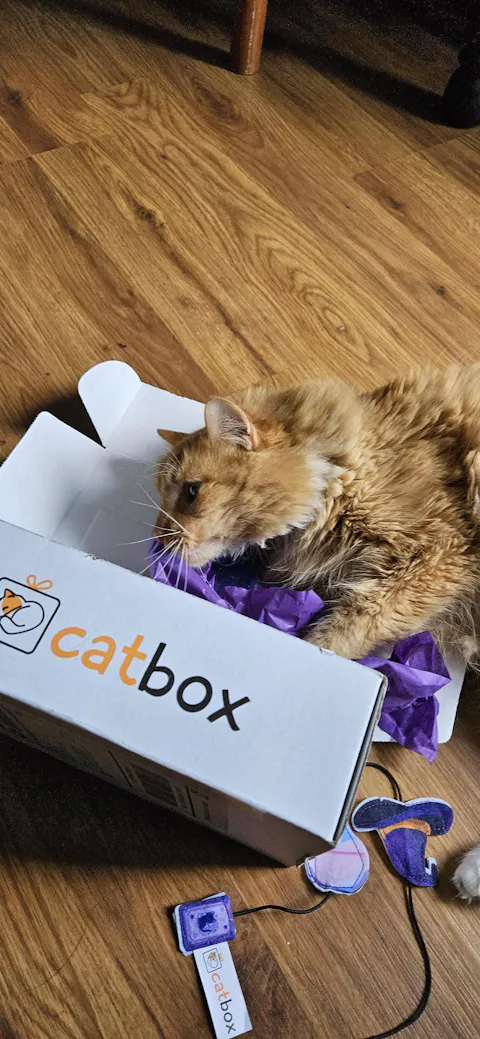 CatBox