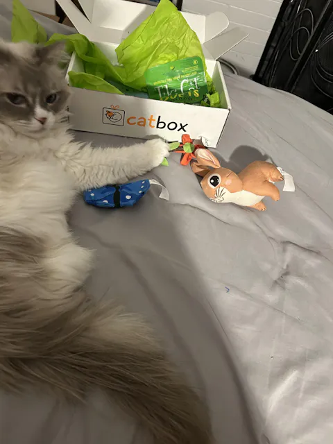 catbox