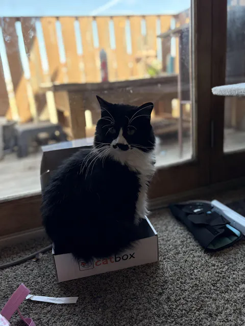 catbox