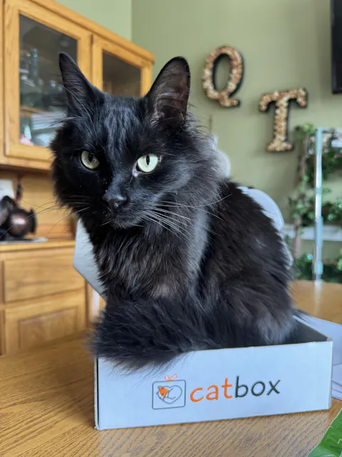 catbox