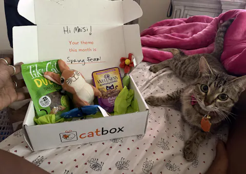 catbox