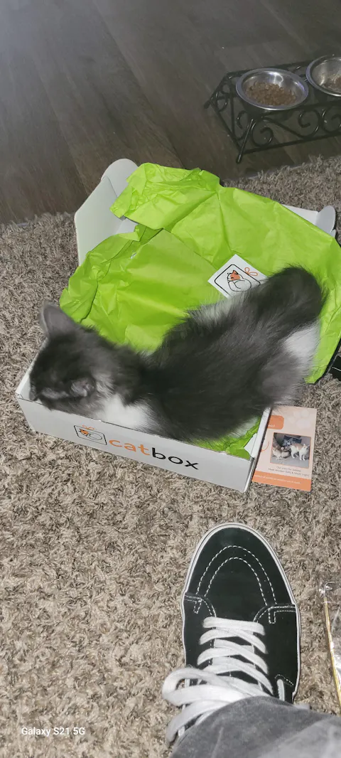 catbox