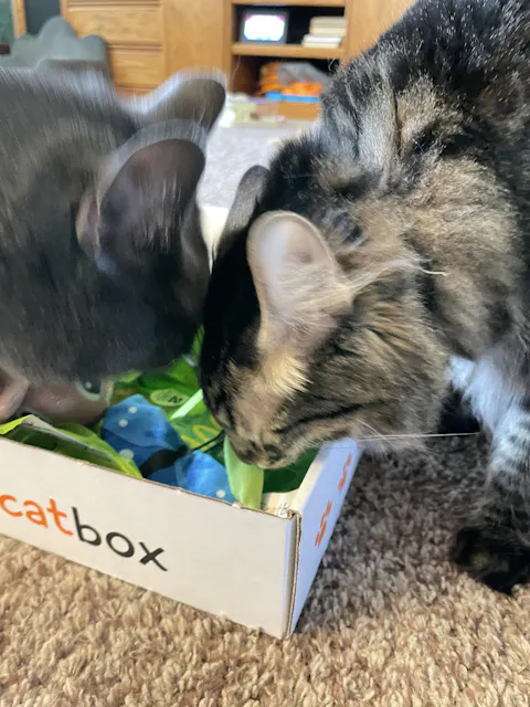 catbox
