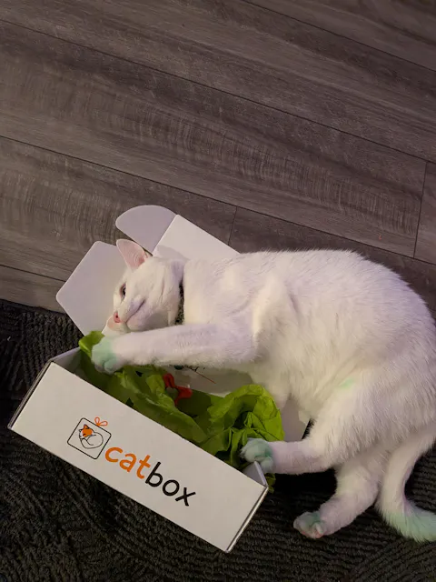 catbox