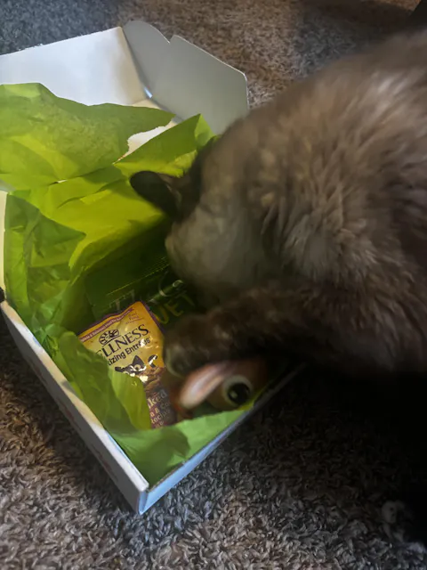 CatBox