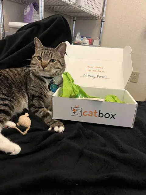 catbox