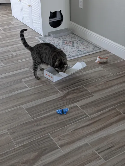 catbox