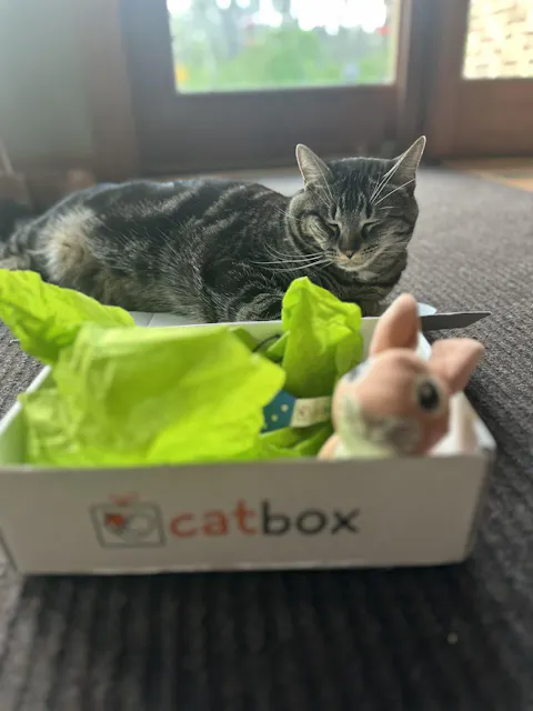 catbox