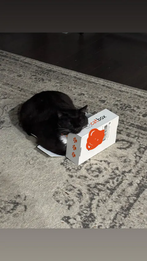 catbox