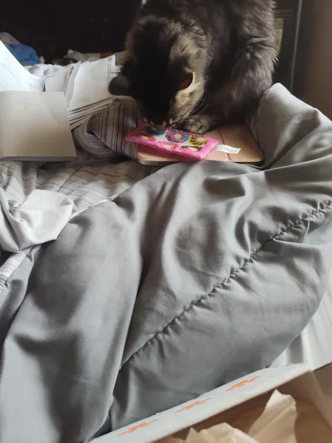 catbox