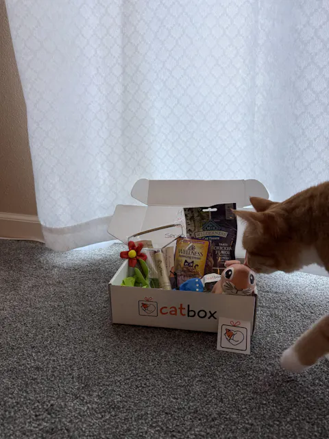 catbox