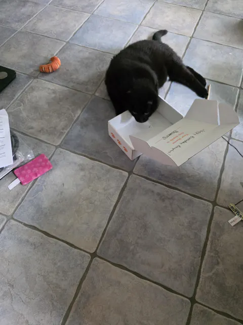 catbox