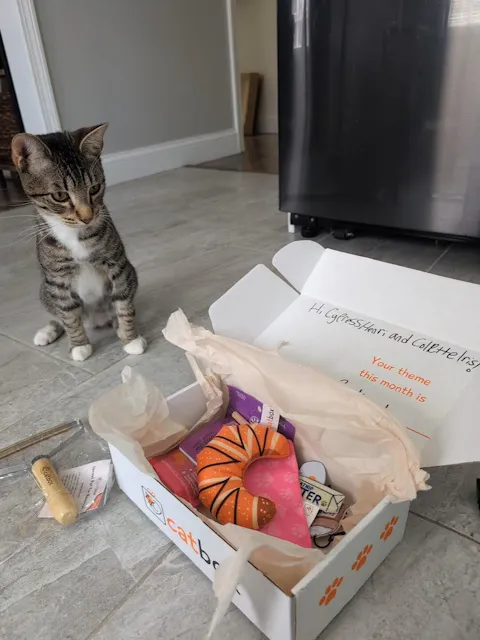 catbox