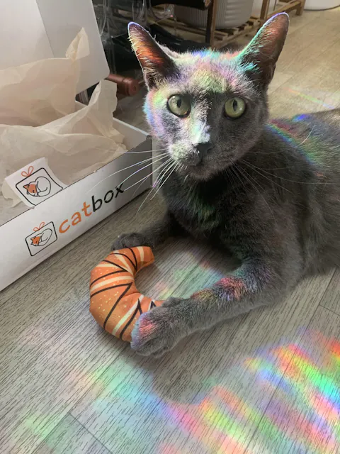 catbox