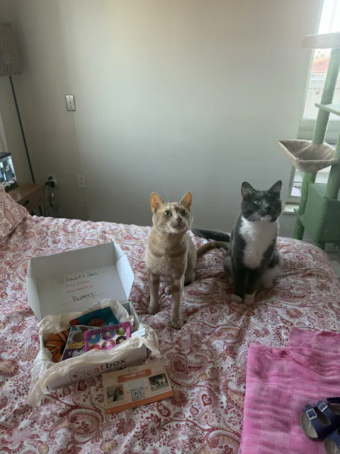 catbox