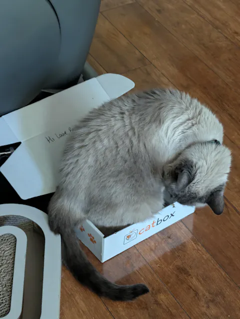 catbox