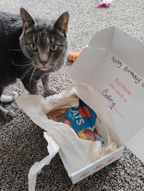 catbox