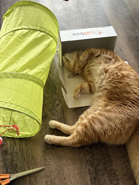 catbox