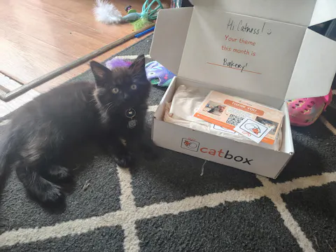 catbox