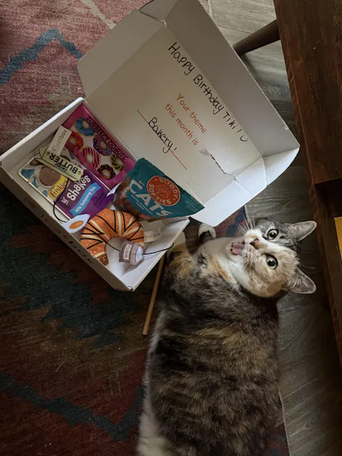 catbox