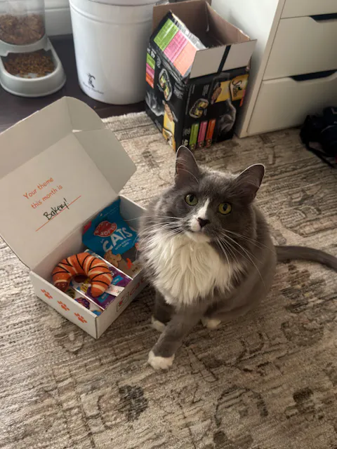 catbox