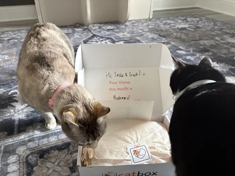 catbox