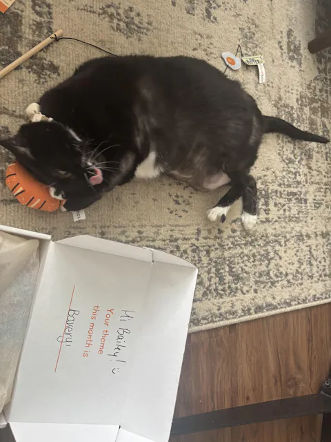 catbox